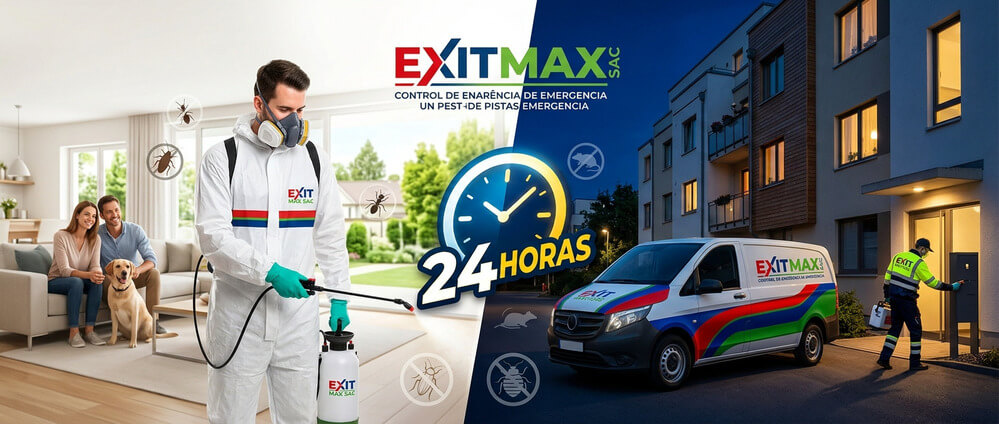 Empresa de fumigacion 24 horas en Lima